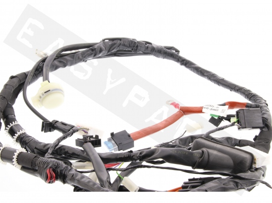 Piaggio Cable harness (Led headlght)